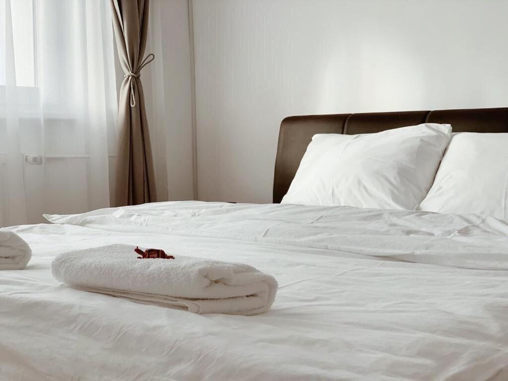 Ultracentral Apt With City Center View - Smart Tv - Ac Timisoara Ngoại thất bức ảnh